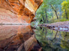 Oak Creek West Fork Reflection