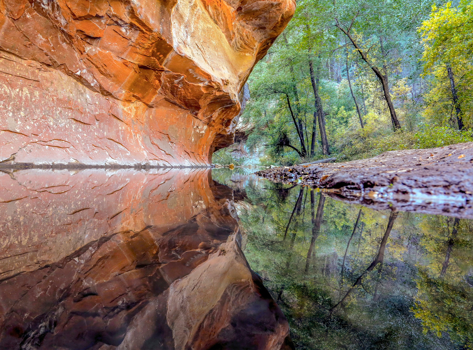 Oak Creek West Fork Reflection