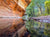 Oak Creek West Fork Reflection